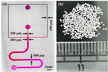 PVDF microparticles